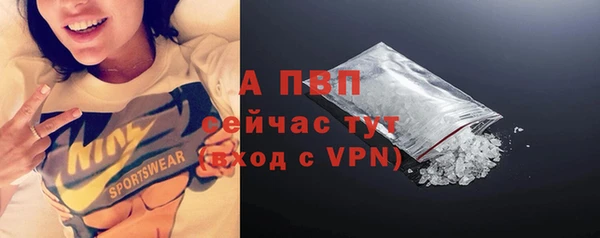 дурь Богданович