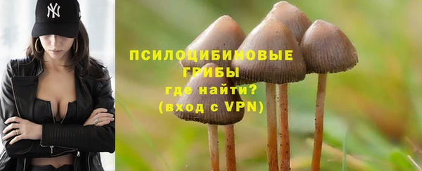 а пвп мука Богородицк