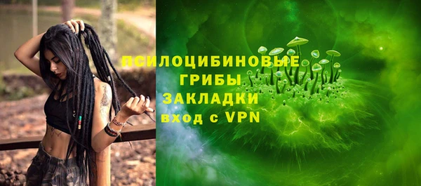 дурь Богданович