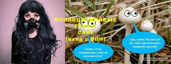 дурь Богданович