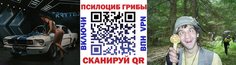Галлюциногенные грибы прущие грибы купить Южноуральск